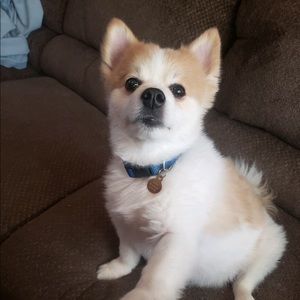 Meet your Posher, Sabrina